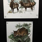 10 Richard Timm Signed Prints, 28x22 Wade Collection Lithograph Plates 1-10