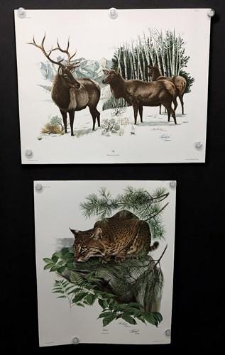 10 Richard Timm Signed Prints, 28x22 Wade Collection Lithograph Plates 1-10