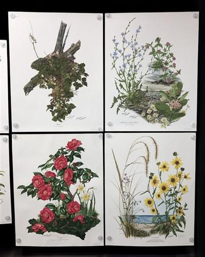 10 Maryrose Wampler Signed Prints, 28x22 Wade Collection Lithograph Plates 11-20