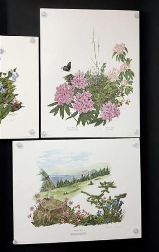 10 Maryrose Wampler Signed Prints, 28x22 Wade Collection Lithograph Plates 21-30