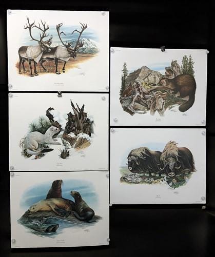 10 Richard Timm Signed Prints, 28x22 Wade Collection Lithograph Plates 31-40