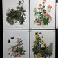 10 Maryrose Wampler Signed Prints, 28x22 Wade Collection Lithograph Plates 21-30