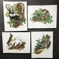 10 Richard Timm Signed Prints, 28x22 Wade Collection Lithograph Plates 1-10